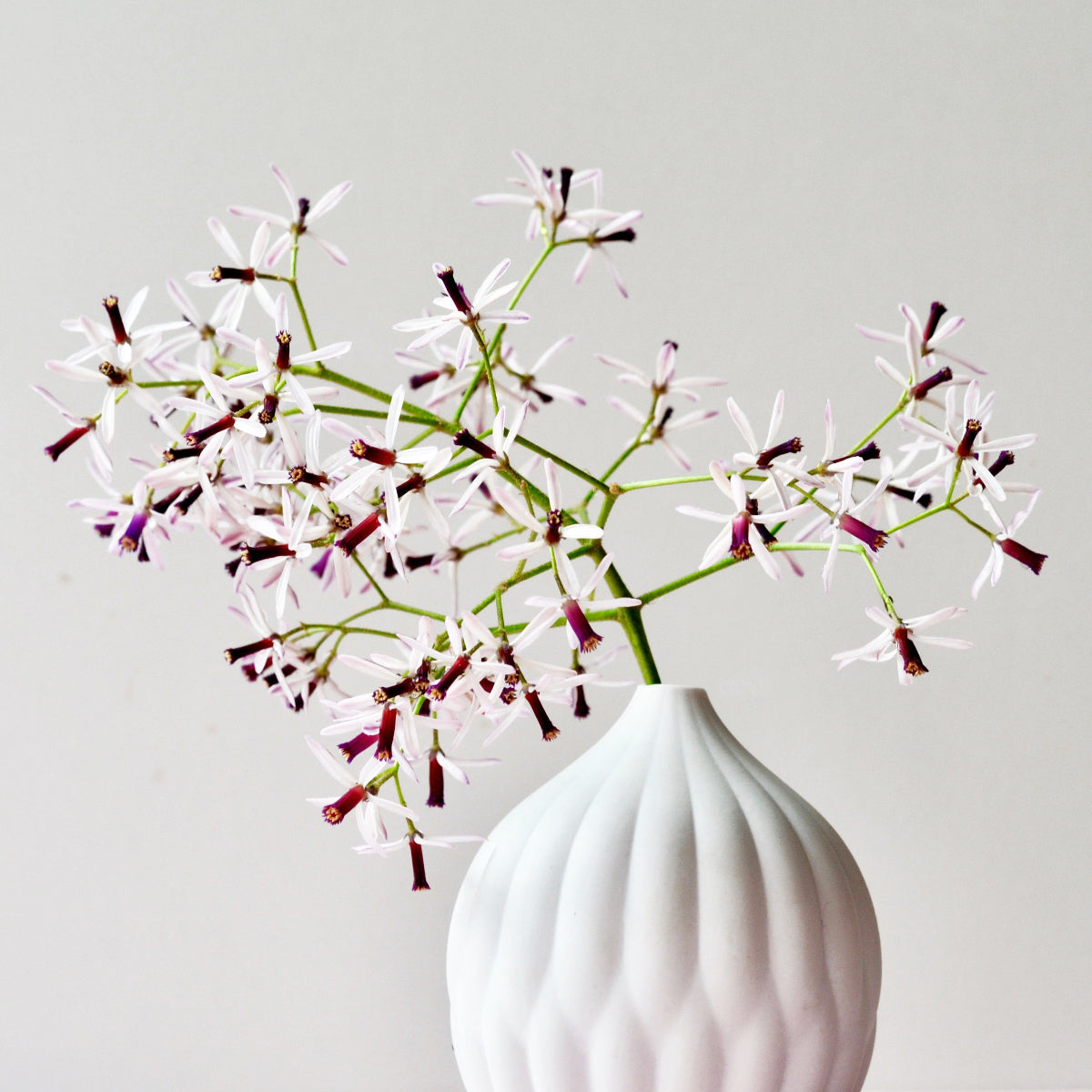 Petite Textured Porcelain Vase