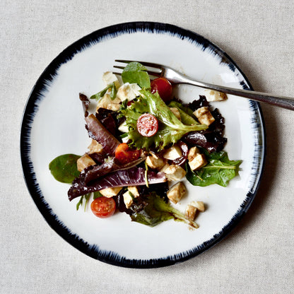 Hand-painted porcelain black rim plates dinner set