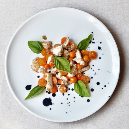 Japanese ink painting ceramic dinner plate set