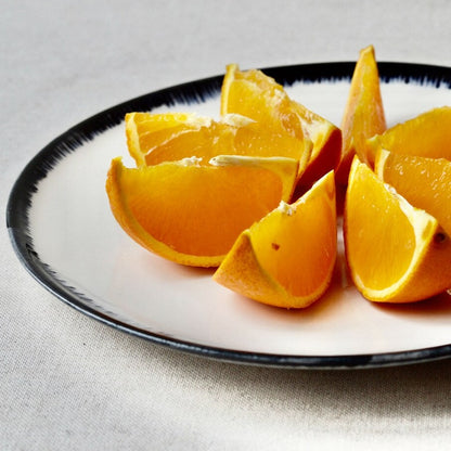 Hand-painted porcelain black rim plates dinner set