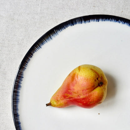 Hand-painted porcelain black rim plates dinner set