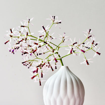 Pequeño jarrón de porcelana texturizada