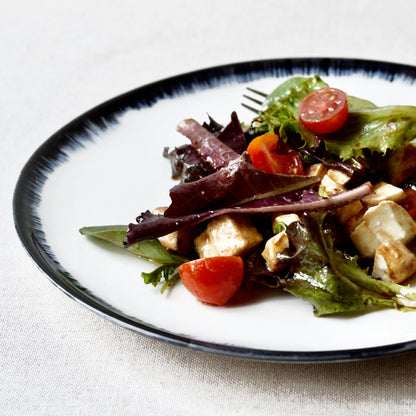 Hand-painted porcelain black rim plates dinner set